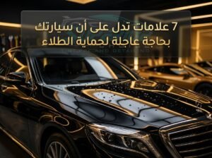 حماية طلاء السيارة